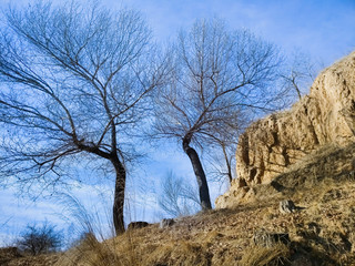 The Plateau Winter Scene