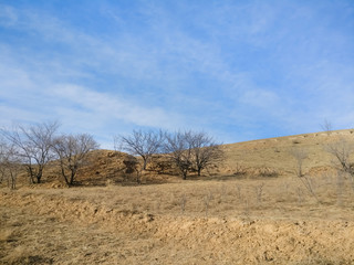 The Plateau Winter Scene