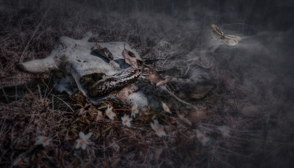 From death to life