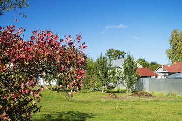 Autumn garden on background sky