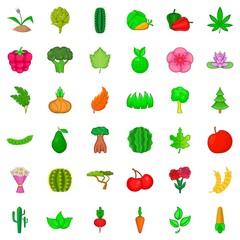 Botany icons set, cartoon style