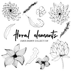 Hand drawn floral elements, line art flowers, leaves and branches