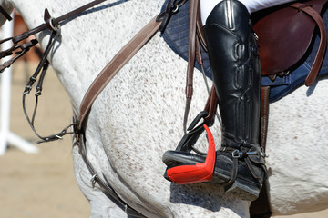 Gray  sport horse and rider on gallop. Horse show jumping in details.