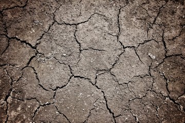 cracked soil