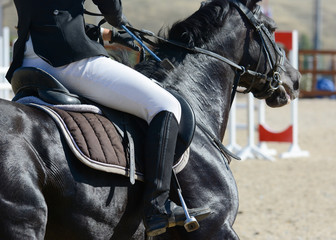 Black sport horse and rider on gallop. Horse show jumping in details.