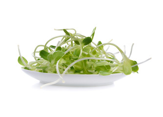 young sunflower in white plate isolated  on white background