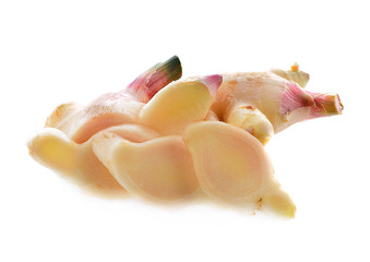 ginger root isolated on white background