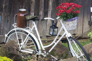 Fototapeta na wymiar still life with old ladys bike and bouquet