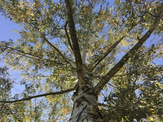 Naklejka premium Herbstzeit