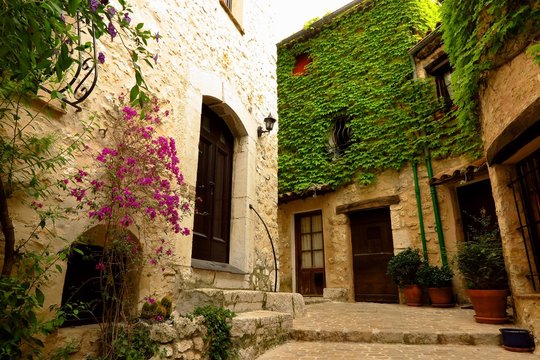 Narrow street with ivy and bougainvillea in medieval village of Tourrettes-sur-Loup, Provence, France
