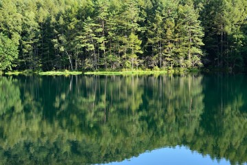 Obraz premium 山の中の湖 - 御射鹿池