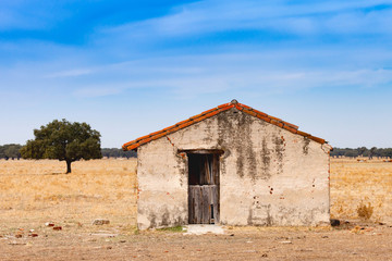 Fototapeta na wymiar desolate old house with a wooden door
