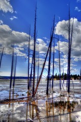 Yellowstone National Park