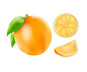 Vector Orange, Slice and Wedge - Vector Illustration
