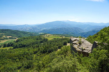 Mountain green valley stream landscape