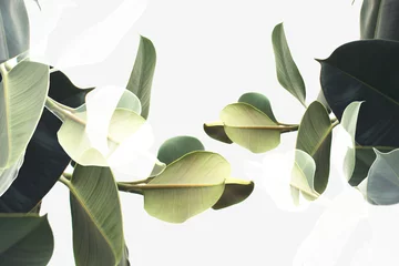 Fototapeten Doppelbelichtung von Pflanzen © LIGHTFIELD STUDIOS