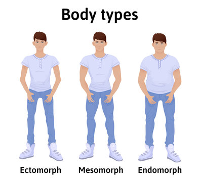 Constitution of human body. Man body types. Endomorph, ectomorph and mesomorph. Young men in t-shirts and jeans. Vector illustration, isolated on white background.