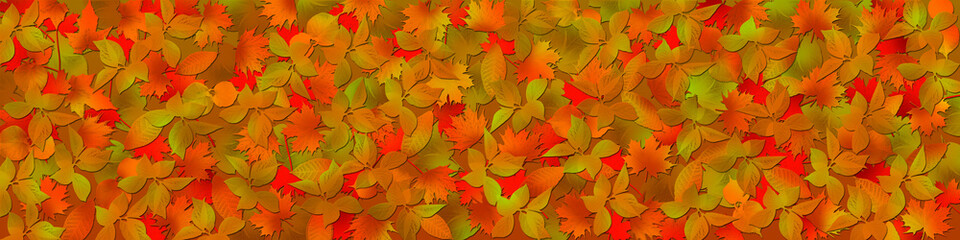 autumnal background, a lot of autumn leaves