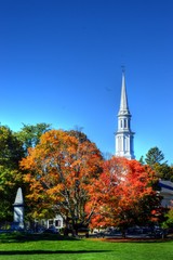 New England Foliage