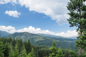 Mountain, Rila, Bulgaria