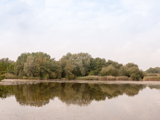 Fototapeta premium trees above a lake horizon reflected in water country scene