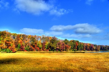 Fototapeta premium Virginia USA