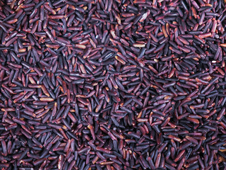 purple black jasmine rice or rice berry