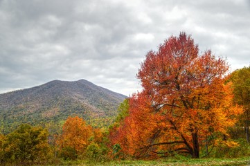 Fototapeta premium Virginia USA