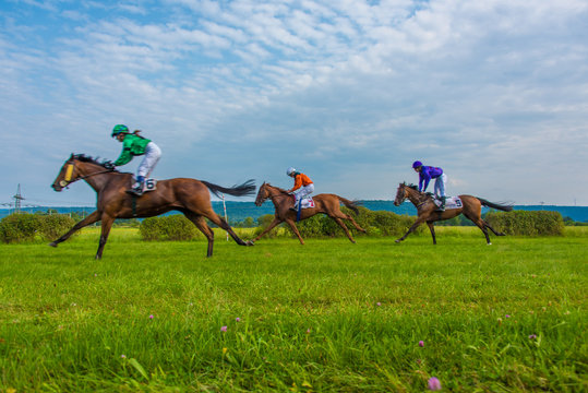 Horses race by