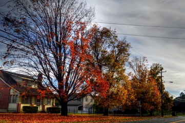 Naklejka premium Virginia USA