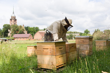Beekeeper at work on his apiary with smoker next to the beehive