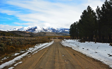 CAMINO HACIA LA NIEVE