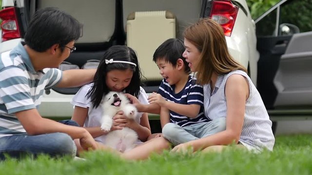 family playing with siberian husky puppy in the park,slow motion
