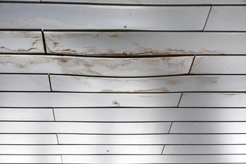 Obraz premium Wet stain of rain on polypropylene panels ceiling.
