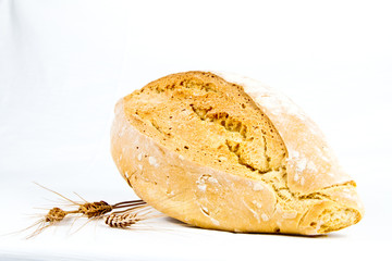 Italian typical bread