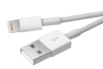 usb - lightning cable. the connectors photo on white