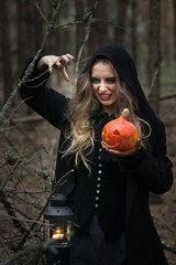 Halloween. beautiful witch girl in a black dress in the forest.
