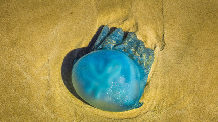 Byron Bay vibes, beaches, surf and sunsets