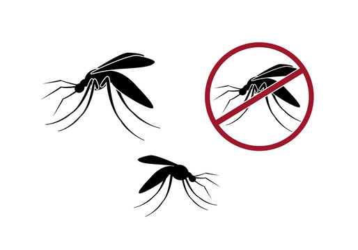 Mosquito vector. Mosquito silhouette on a white background. Gnat icon set