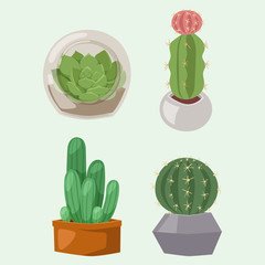 Cactus nature desert flower green mexican succulent tropical plant cacti floral illustration.