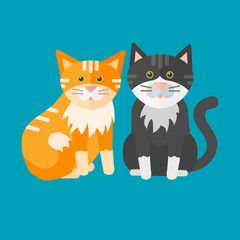 Portrait cat animal pet cute kitten purebred feline kitty domestic fur adorable mammal character vector illustration.