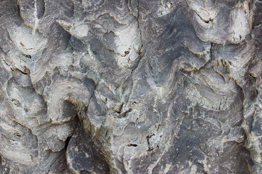 texture of the stone with white veins. presumably travertine, gneiss or granite