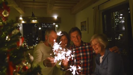 Senior friends with sparklers next to Christmas tree having fun. - Powered by Adobe