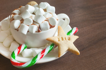 Mug of hot chocolate with marshmallows and cookies, copy space, toned photo