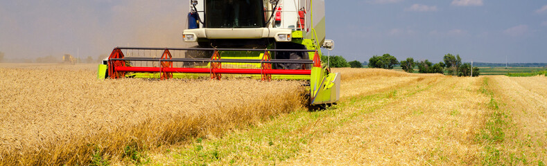 Harvester combine harvesting wheat on sunny summer day