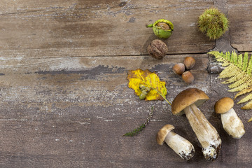 Decorative autumn border with chestnuts, walnuts, hazelnuts, acorns and leaves on wooden