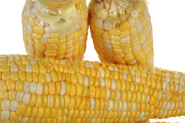 Corn