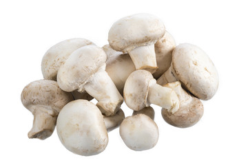 Mushroom champignon isolated ona white background