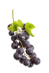 Black grapes and leaves with drop of water isolated on white a background.