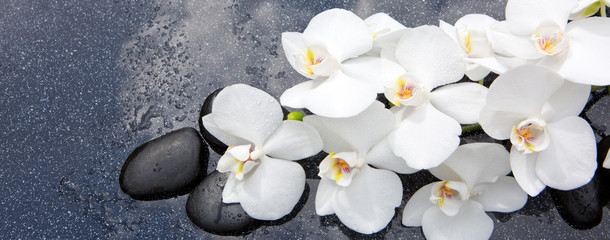 Naklejka na ściany i meble Still life with spa stones and white orchid.
